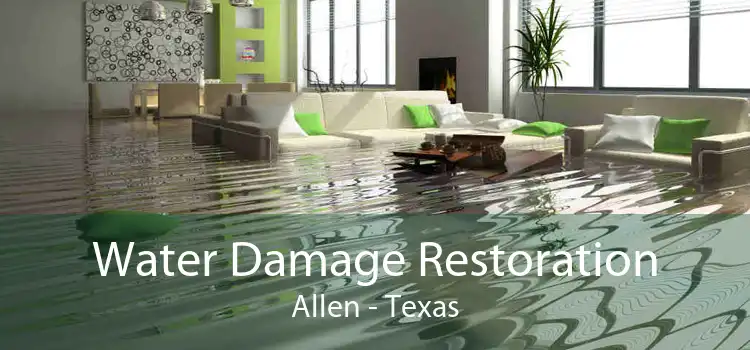 Water Damage Restoration Allen - Texas