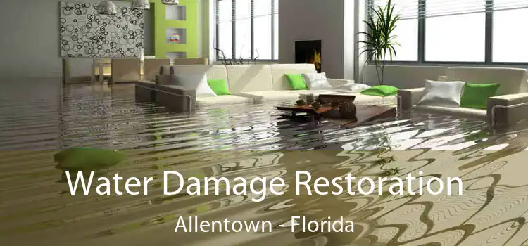 Water Damage Restoration Allentown - Florida