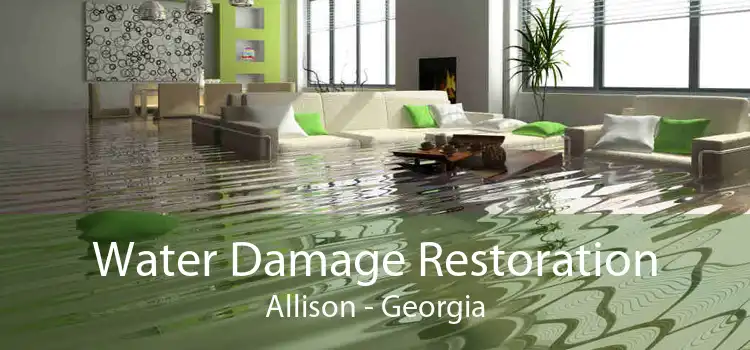 Water Damage Restoration Allison - Georgia