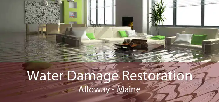 Water Damage Restoration Alloway - Maine