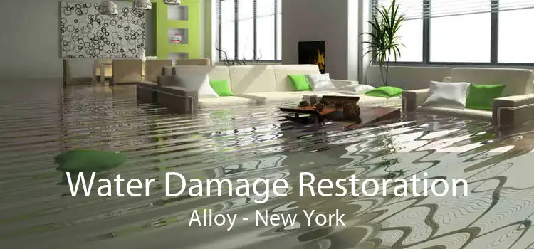Water Damage Restoration Alloy - New York