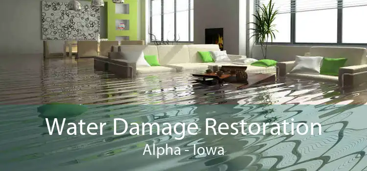 Water Damage Restoration Alpha - Iowa