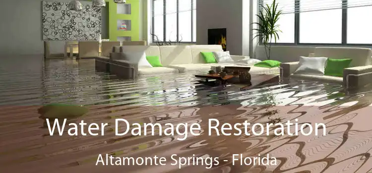 Water Damage Restoration Altamonte Springs - Florida