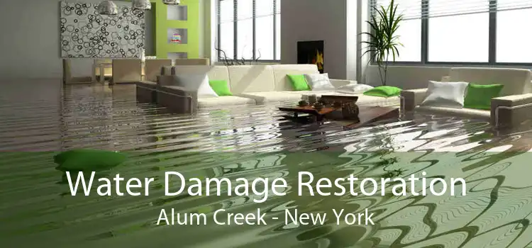 Water Damage Restoration Alum Creek - New York