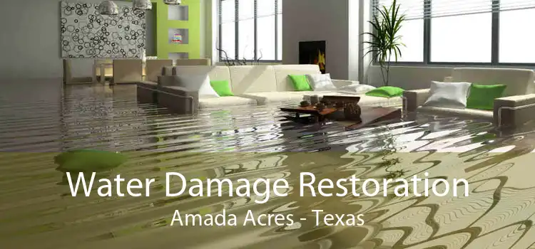 Water Damage Restoration Amada Acres - Texas