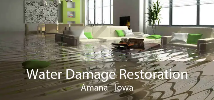 Water Damage Restoration Amana - Iowa