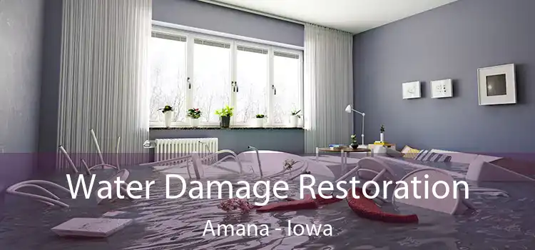 Water Damage Restoration Amana - Iowa