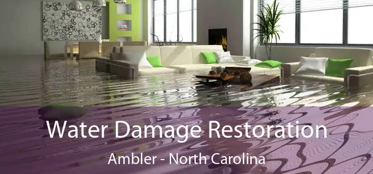 Water Damage Restoration Ambler - North Carolina