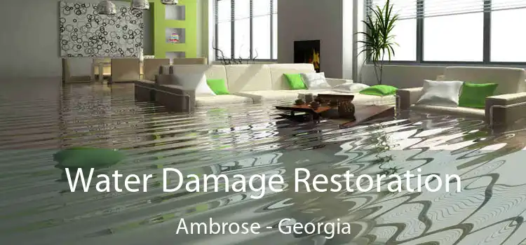 Water Damage Restoration Ambrose - Georgia