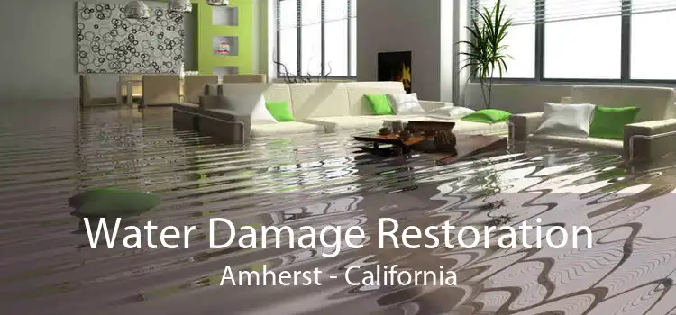 Water Damage Restoration Amherst - California