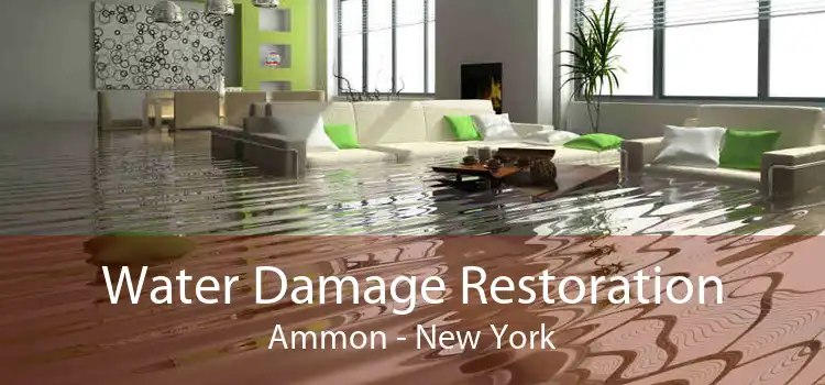 Water Damage Restoration Ammon - New York