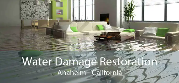 Water Damage Restoration Anaheim - California