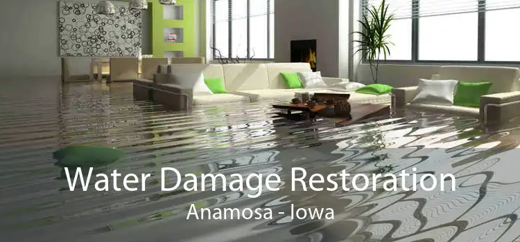 Water Damage Restoration Anamosa - Iowa