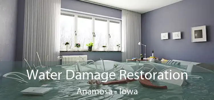 Water Damage Restoration Anamosa - Iowa