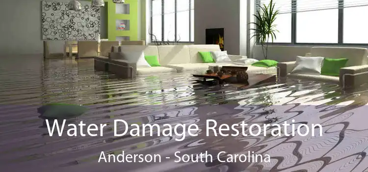 Water Damage Restoration Anderson - South Carolina