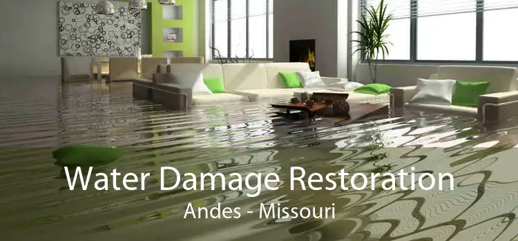 Water Damage Restoration Andes - Missouri