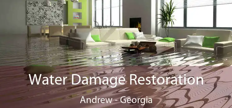 Water Damage Restoration Andrew - Georgia