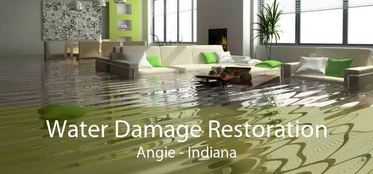 Water Damage Restoration Angie - Indiana