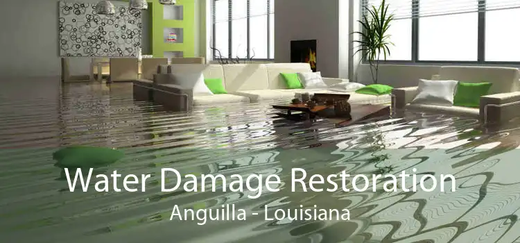 Water Damage Restoration Anguilla - Louisiana