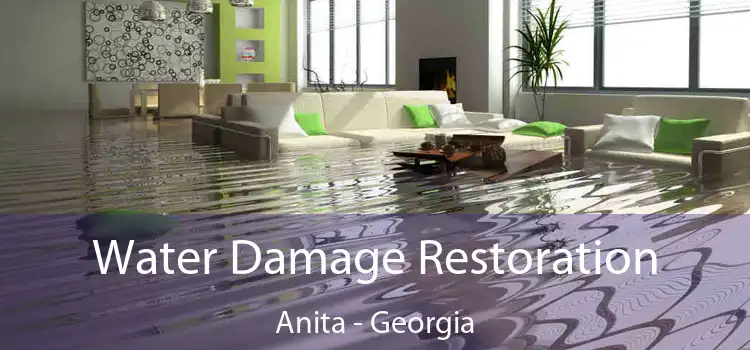 Water Damage Restoration Anita - Georgia