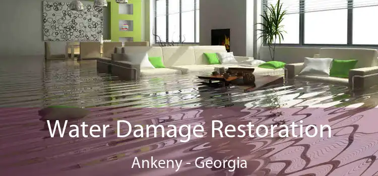 Water Damage Restoration Ankeny - Georgia