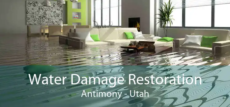 Water Damage Restoration Antimony - Utah