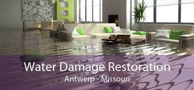 Water Damage Restoration Antwerp - Missouri