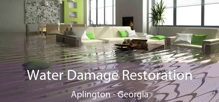 Water Damage Restoration Aplington - Georgia