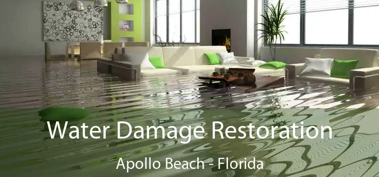 Water Damage Restoration Apollo Beach - Florida