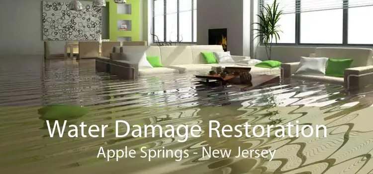 Water Damage Restoration Apple Springs - New Jersey