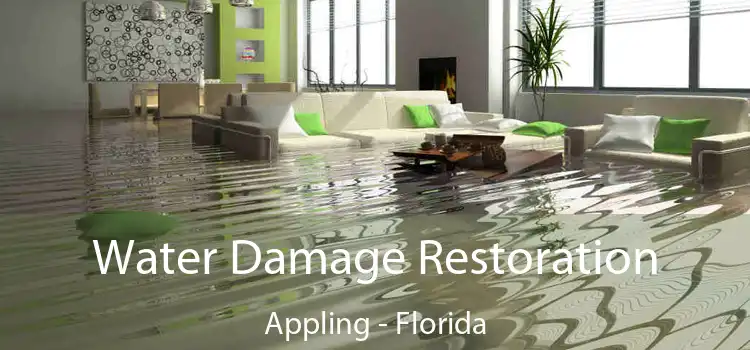 Water Damage Restoration Appling - Florida