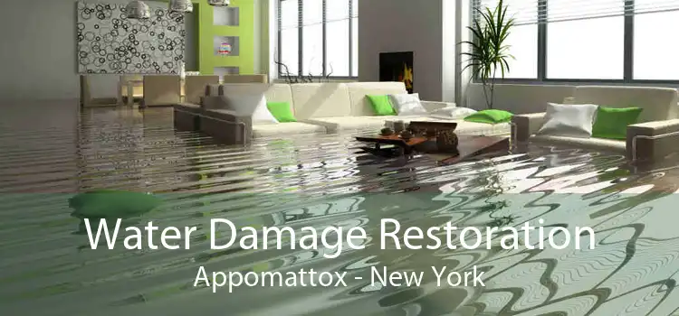 Water Damage Restoration Appomattox - New York