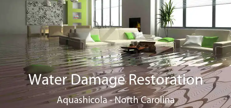 Water Damage Restoration Aquashicola - North Carolina