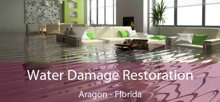 Water Damage Restoration Aragon - Florida