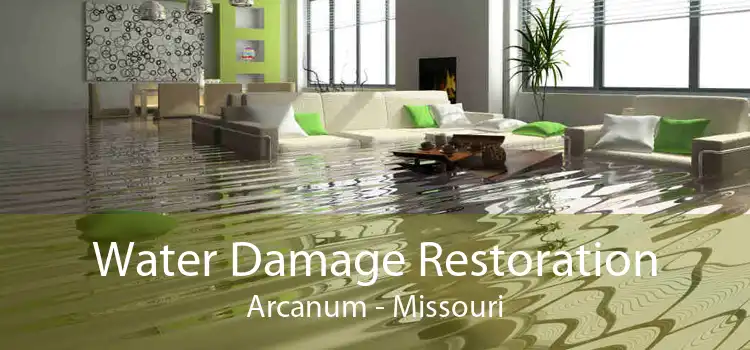Water Damage Restoration Arcanum - Missouri