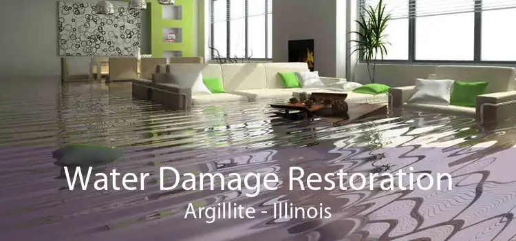 Water Damage Restoration Argillite - Illinois