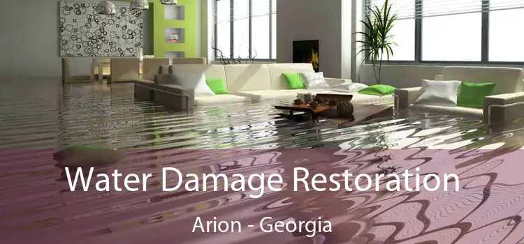 Water Damage Restoration Arion - Georgia