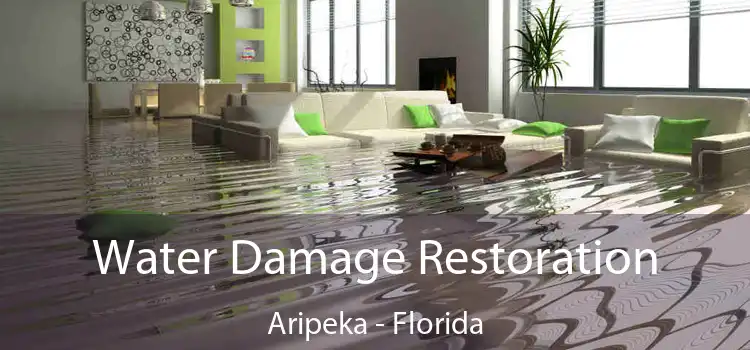 Water Damage Restoration Aripeka - Florida