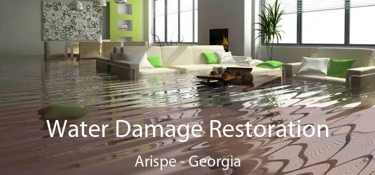 Water Damage Restoration Arispe - Georgia