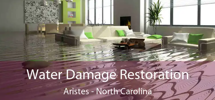 Water Damage Restoration Aristes - North Carolina