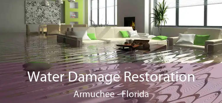 Water Damage Restoration Armuchee - Florida