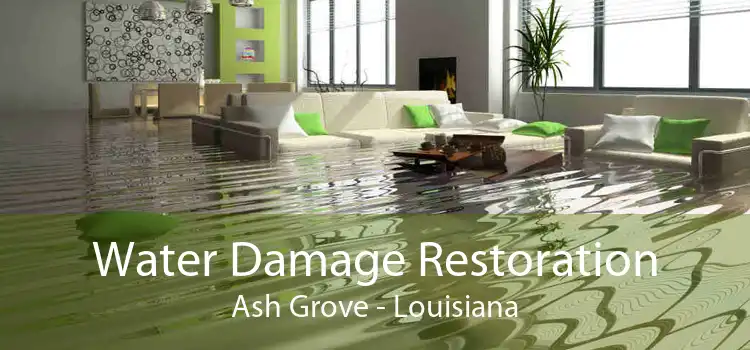 Water Damage Restoration Ash Grove - Louisiana