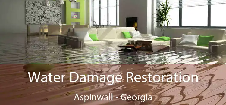 Water Damage Restoration Aspinwall - Georgia