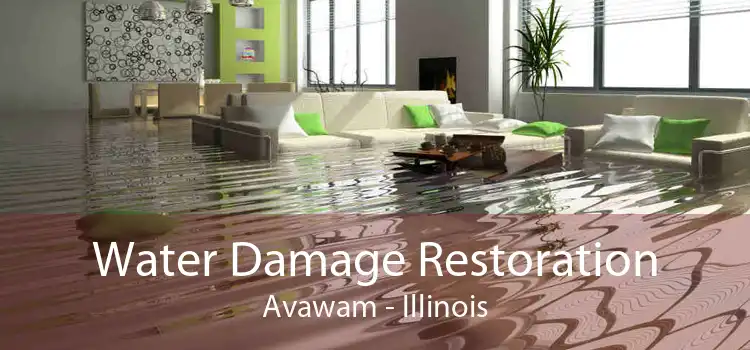 Water Damage Restoration Avawam - Illinois