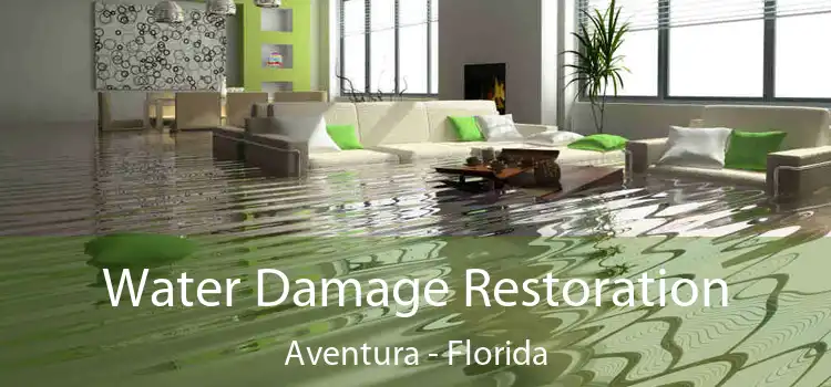 Water Damage Restoration Aventura - Florida