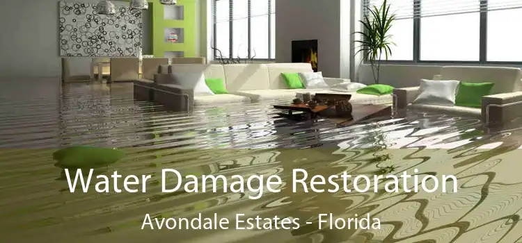 Water Damage Restoration Avondale Estates - Florida