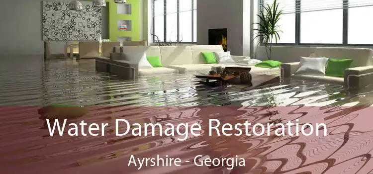 Water Damage Restoration Ayrshire - Georgia