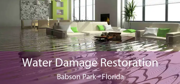 Water Damage Restoration Babson Park - Florida