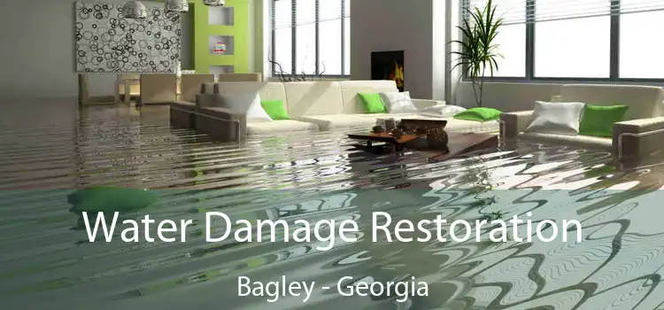 Water Damage Restoration Bagley - Georgia