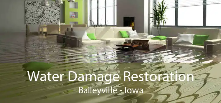 Water Damage Restoration Baileyville - Iowa